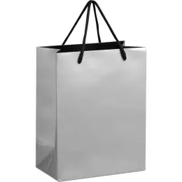 Dazzle Mini Gift Bag Silver